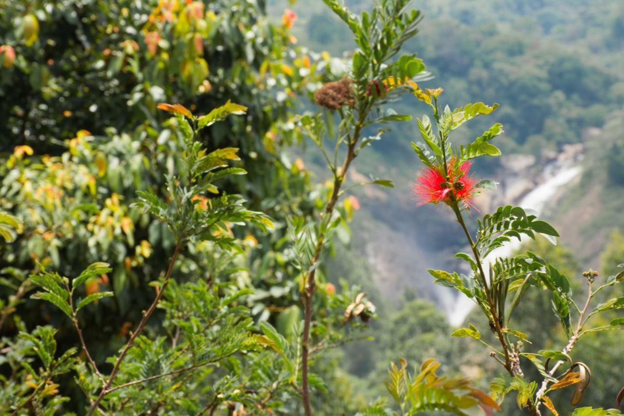 Aranyaka Resorts Munnar Eksteriør billede